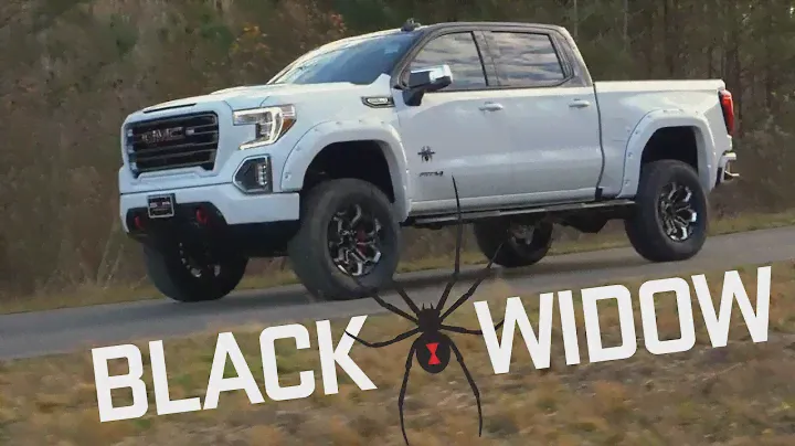 Ray Skillman Buick GMC -Black Widow
