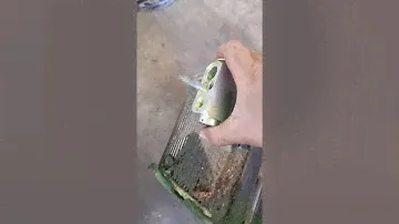 A/C  EVAPORATOR NIGHTMARE,  08 GMC ACADIA HVAC HOUSING BOX.